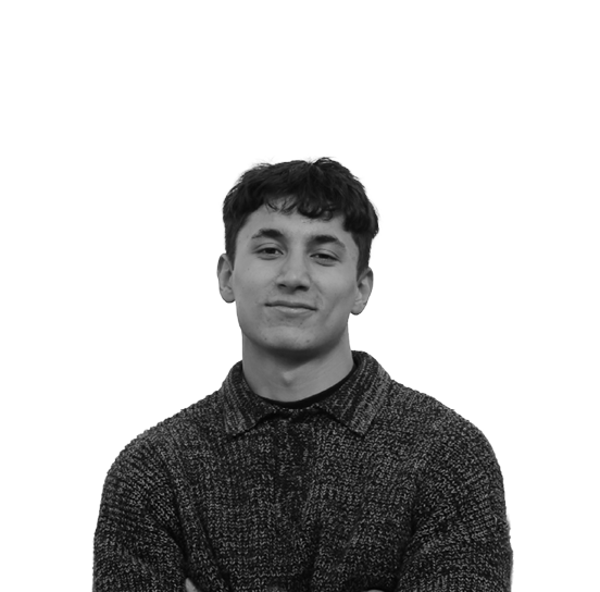 Azis Nagaicevs, Surveyor