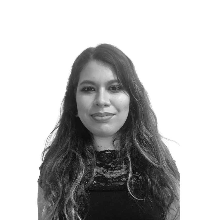 Lilash Hochmann, Consultant